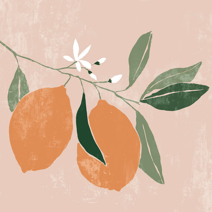 Orange Branch I