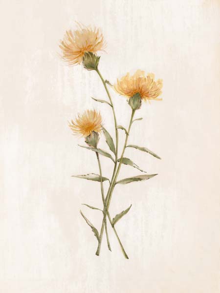 Wild Botanical III