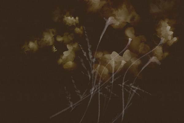 __source__P00-0015-260921-PITRND-026001