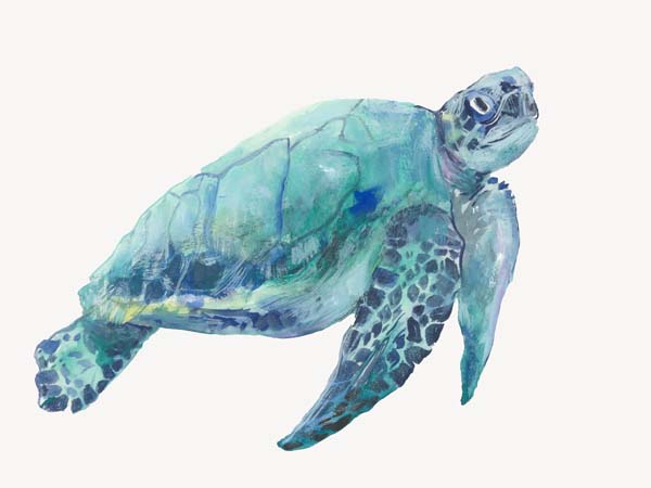 Blue Great Sea Turtle I