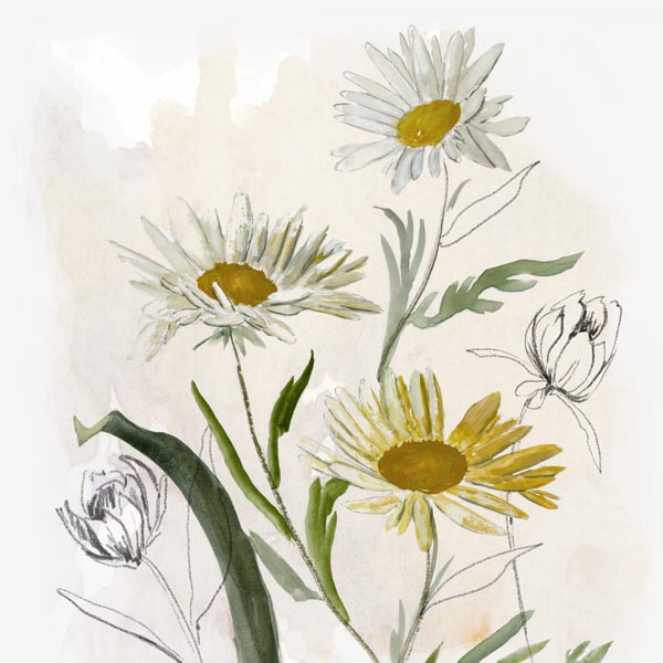 Pure Simplicity I