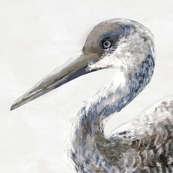 Sand Crane Posed