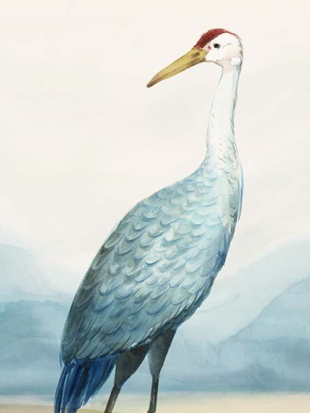 Serene Crane in Misty Morning