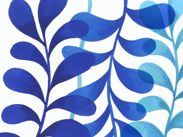 Indigo in Three