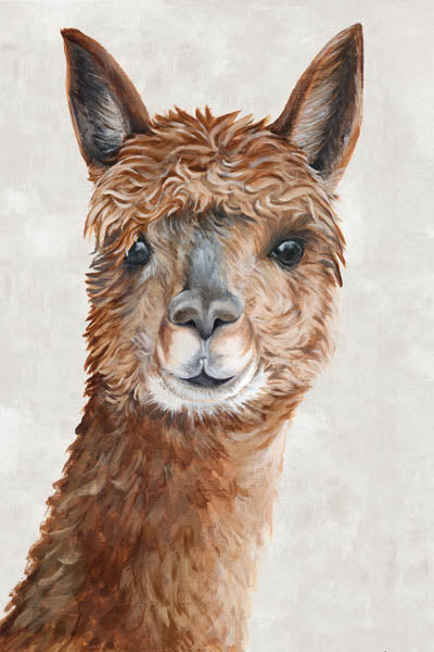 Suri Alpaca II