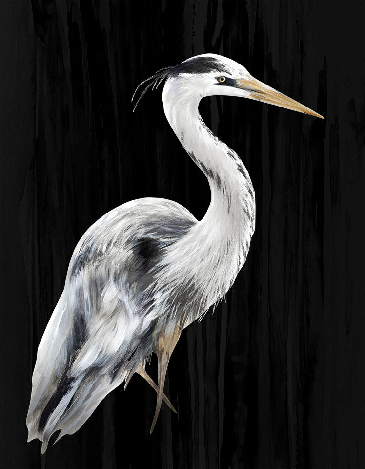 River Heron Black II