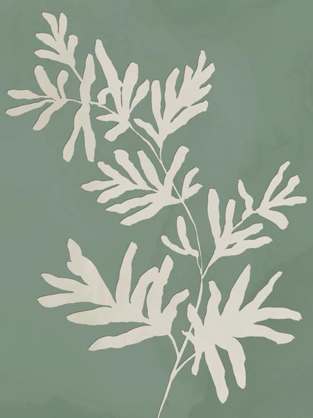 Perfect Simplicity II