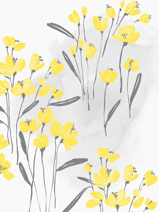 Wallflower II
