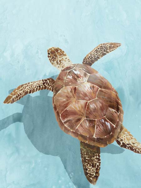 Ocean Deep Turtle II