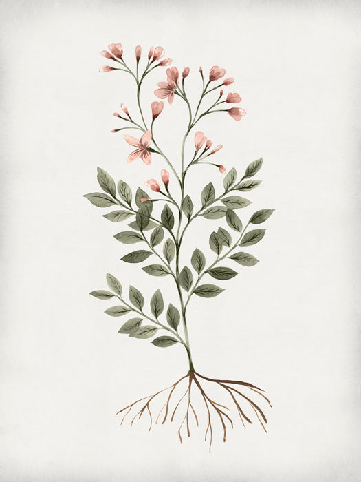 Rooted Floral I