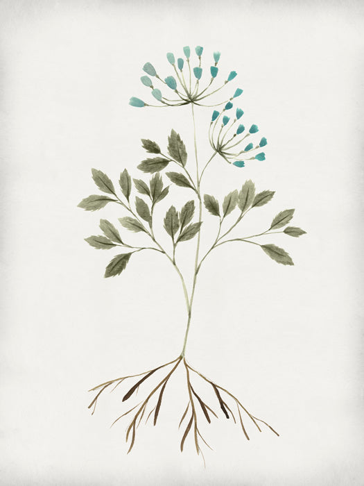 Rooted Floral III