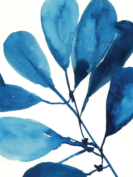 Sapphire Stems II