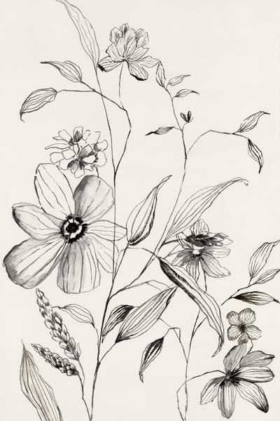 Petal Harmony II