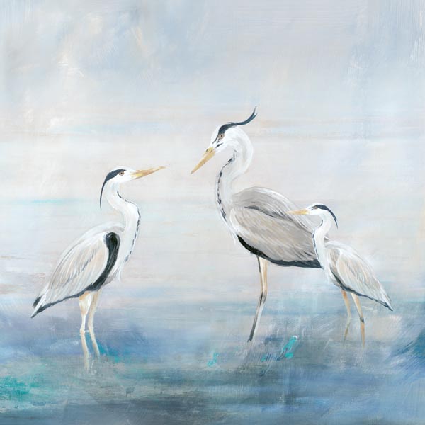 Coastal Heron Family