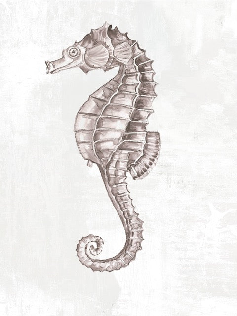 Exquisite Seahorse