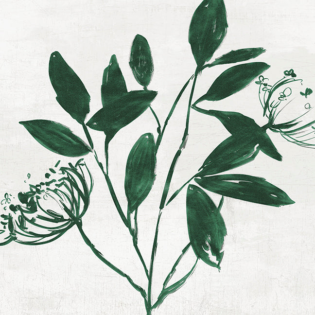 Minimalist Green Botanical