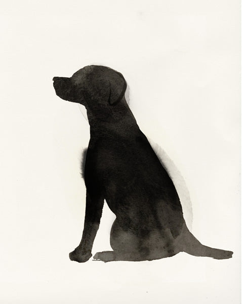 Black Dog