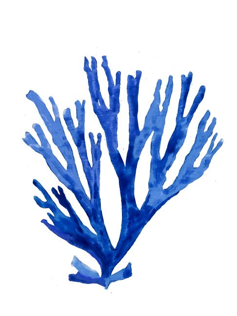 Reaching Coral