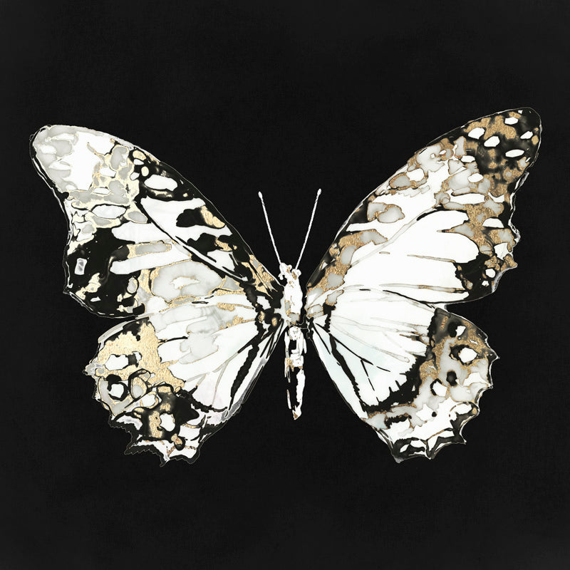 Moody Little Butterfly