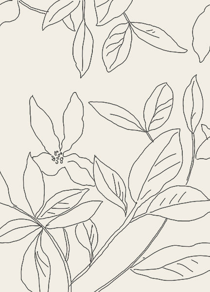 Flower among Leaves