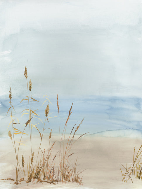 Soft Beach Grass II