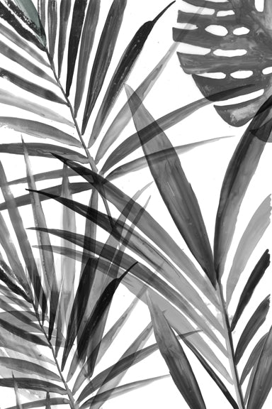 Leaves in Contrast