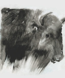 Black Bison