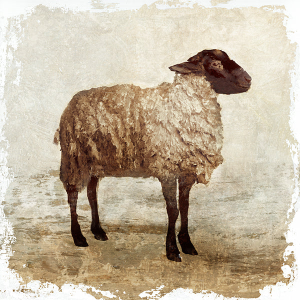 Ivory Lamb