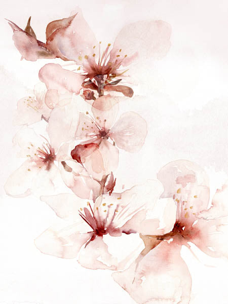 Watercolor Blossoms II