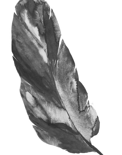 Ink Feather