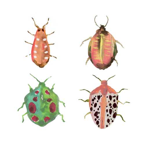 Beetles on the Move