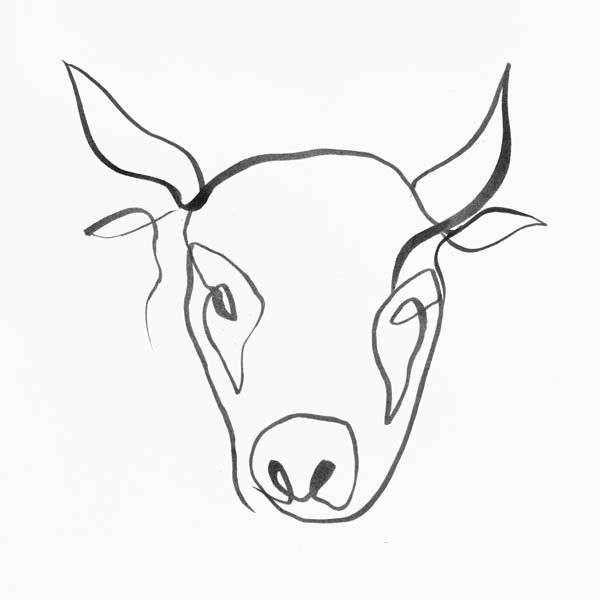 Monochromatic Cow