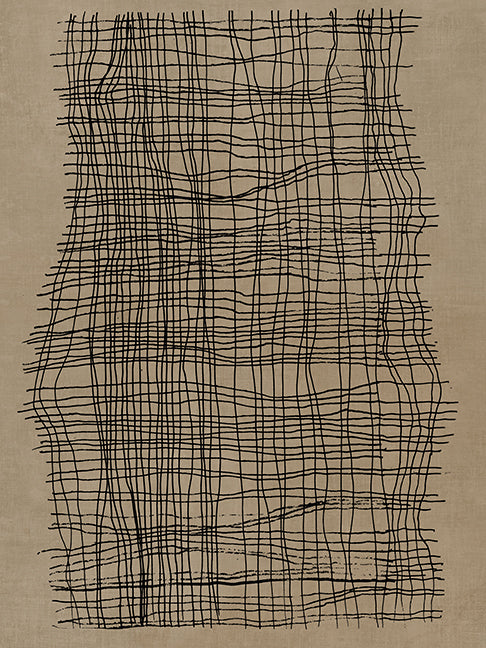 Abstract Line Net