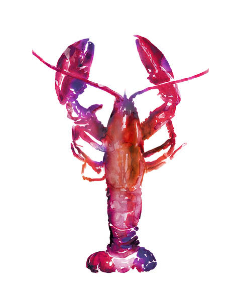 Multicolored Lobster