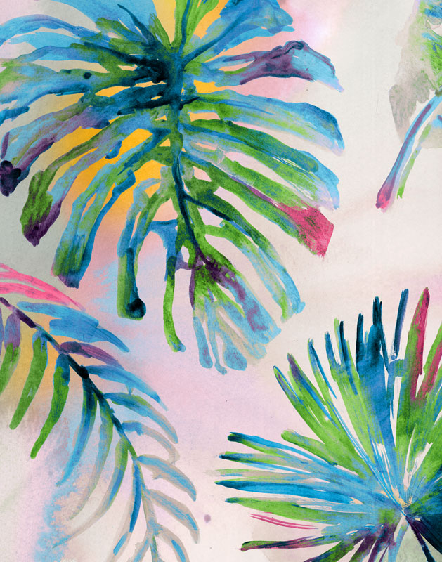 Four Leaf Palm
