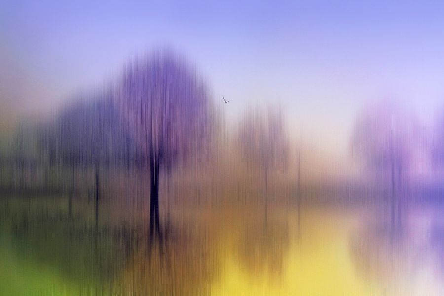 Pastel Reflection