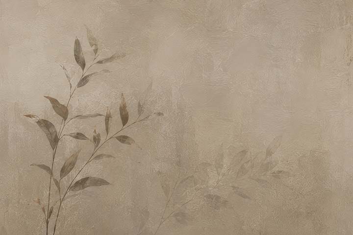 __source__P01-0184-260704-IREORL-060801