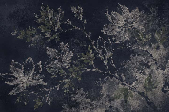 __source__P01-0184-260704-IREORL-061401