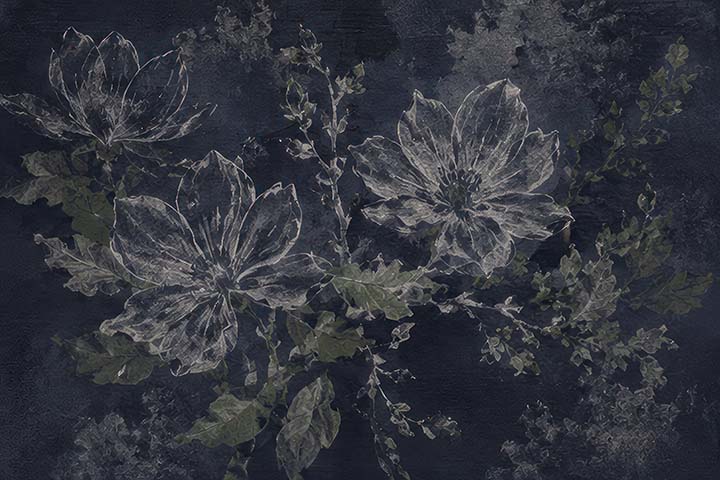 __source__P01-0184-260704-IREORL-061501