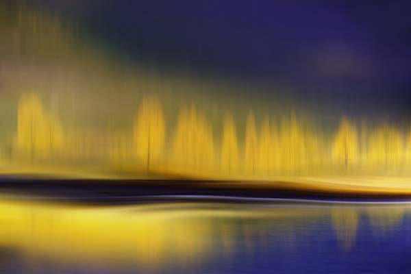 Yellow night