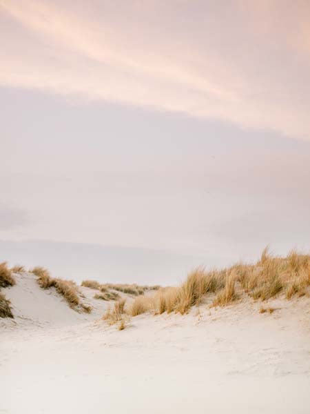 __source__P01-0189-230406-1XXXXX-052301