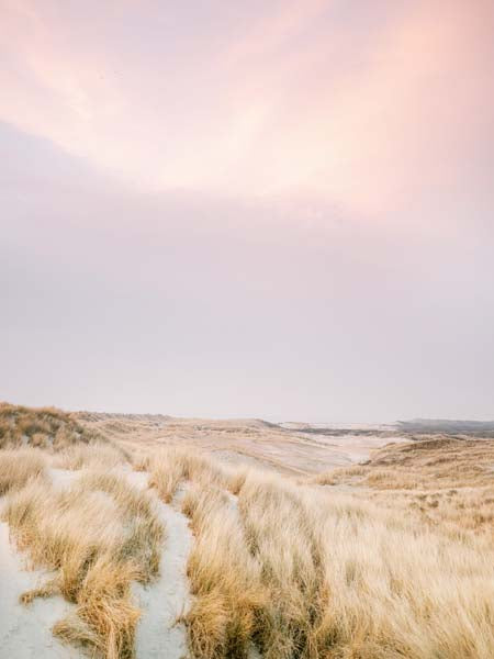 __source__P01-0189-230406-1XXXXX-052401