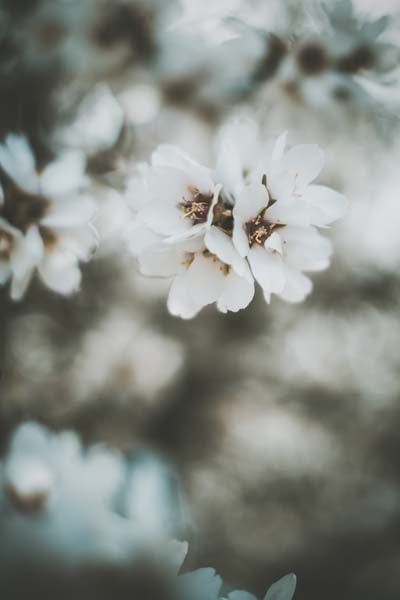 __source__P01-0189-230406-1XXXXX-054601