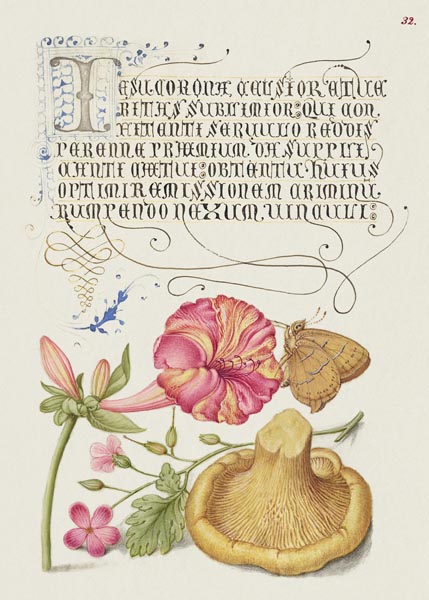 Nature and Script Harmony