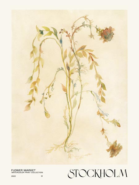 Flower Market Stockholm