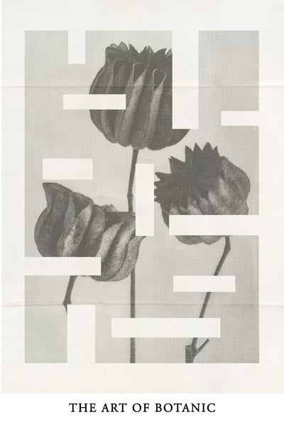 The Art of Botanic