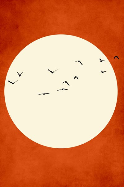 Sunset Flight