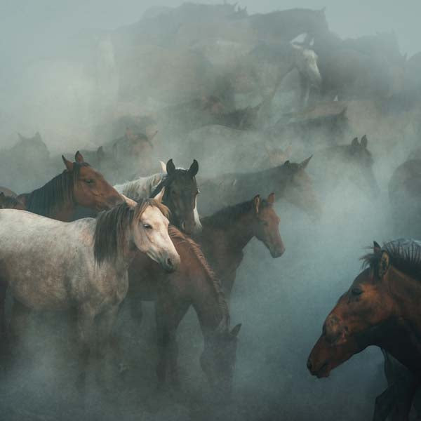 __source__P01-0293-250520-1XXXXX-050602