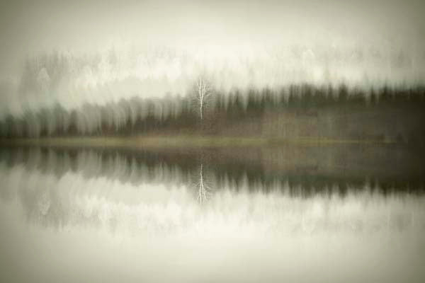 __source__P01-9998-260904-1XXXX2-017301