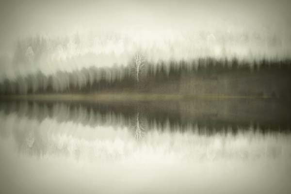 __source__P01-9998-260904-1XXXX2-017301